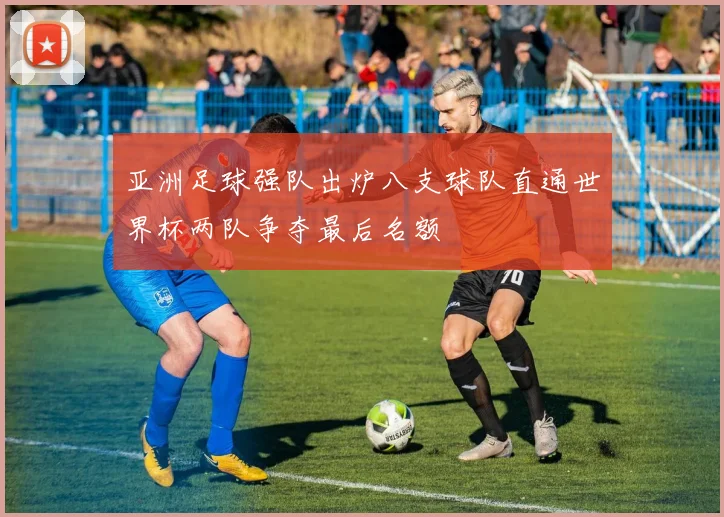 亚洲足球强队出炉八支球队直通世界杯两队争夺最后名额